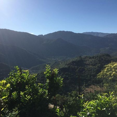 Gite , Maison De Vacances Avec Exterieur Et Terrasse Fleurie Meuble Tourisme 3 Etoiles Santa-Lucia-di-Tallano Bagian luar foto