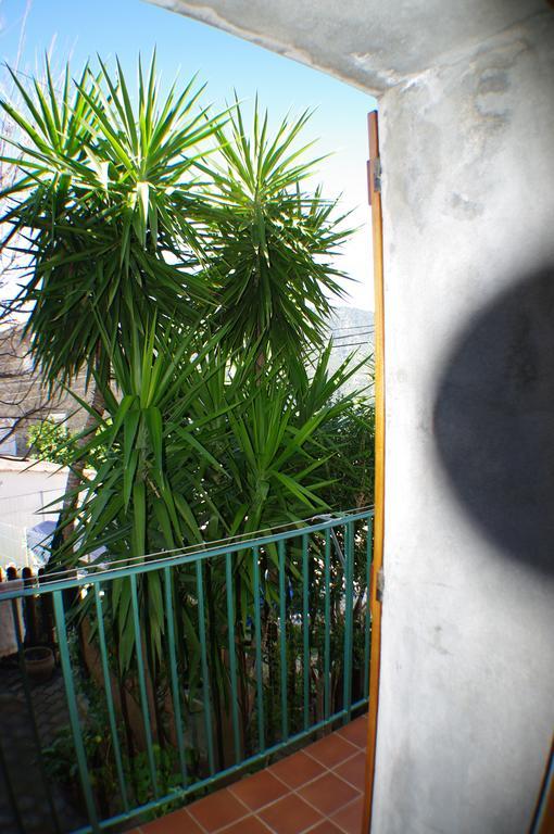 Gite , Maison De Vacances Avec Exterieur Et Terrasse Fleurie Meuble Tourisme 3 Etoiles Santa-Lucia-di-Tallano Bagian luar foto