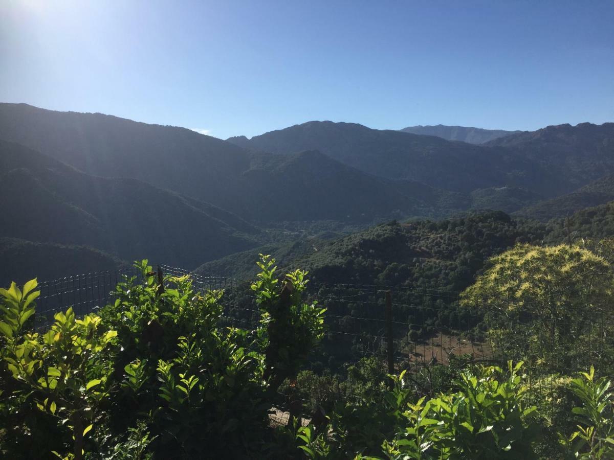 Gite , Maison De Vacances Avec Exterieur Et Terrasse Fleurie Meuble Tourisme 3 Etoiles Santa-Lucia-di-Tallano Bagian luar foto