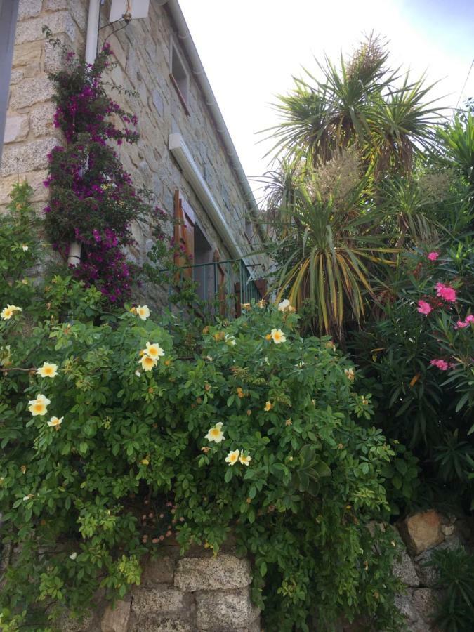 Gite , Maison De Vacances Avec Exterieur Et Terrasse Fleurie Meuble Tourisme 3 Etoiles Santa-Lucia-di-Tallano Bagian luar foto